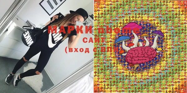 шишки Киренск
