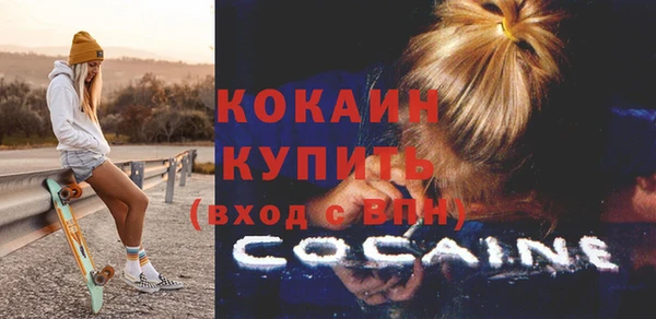 шишки Киренск