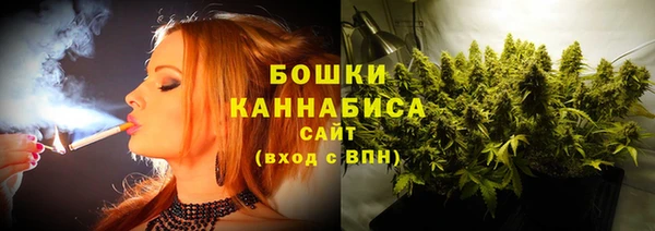 шишки Киренск